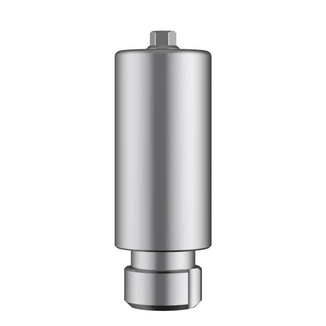 Abutment Premilled Biohorizon